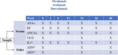 Prediction of Immune-Related Adverse Events Induced by Immune Checkpoint Inhibitors With a Panel of Autoantibodies: Protocol of a Multicenter, Prospective, Observational Cohort Study